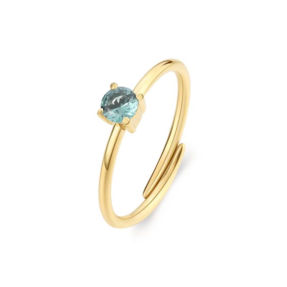 Ringe Sagapo Dame in Stahl SDZ39 - SDZ39